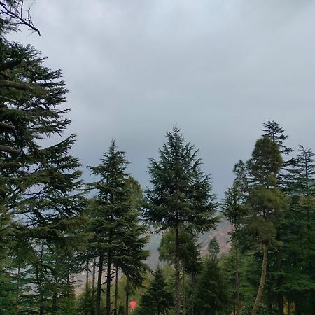 ホテル The Alpine Vista アルモラ エクステリア 写真