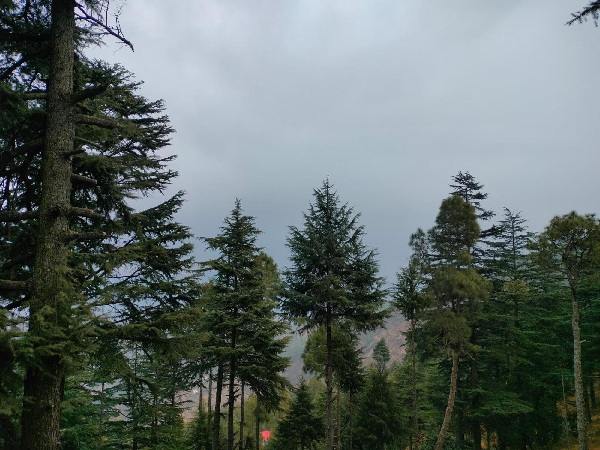 ホテル The Alpine Vista アルモラ エクステリア 写真
